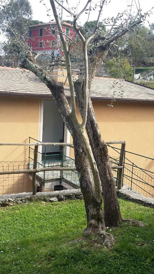 The Palm House Villa Santa Margherita Ligure Exterior foto